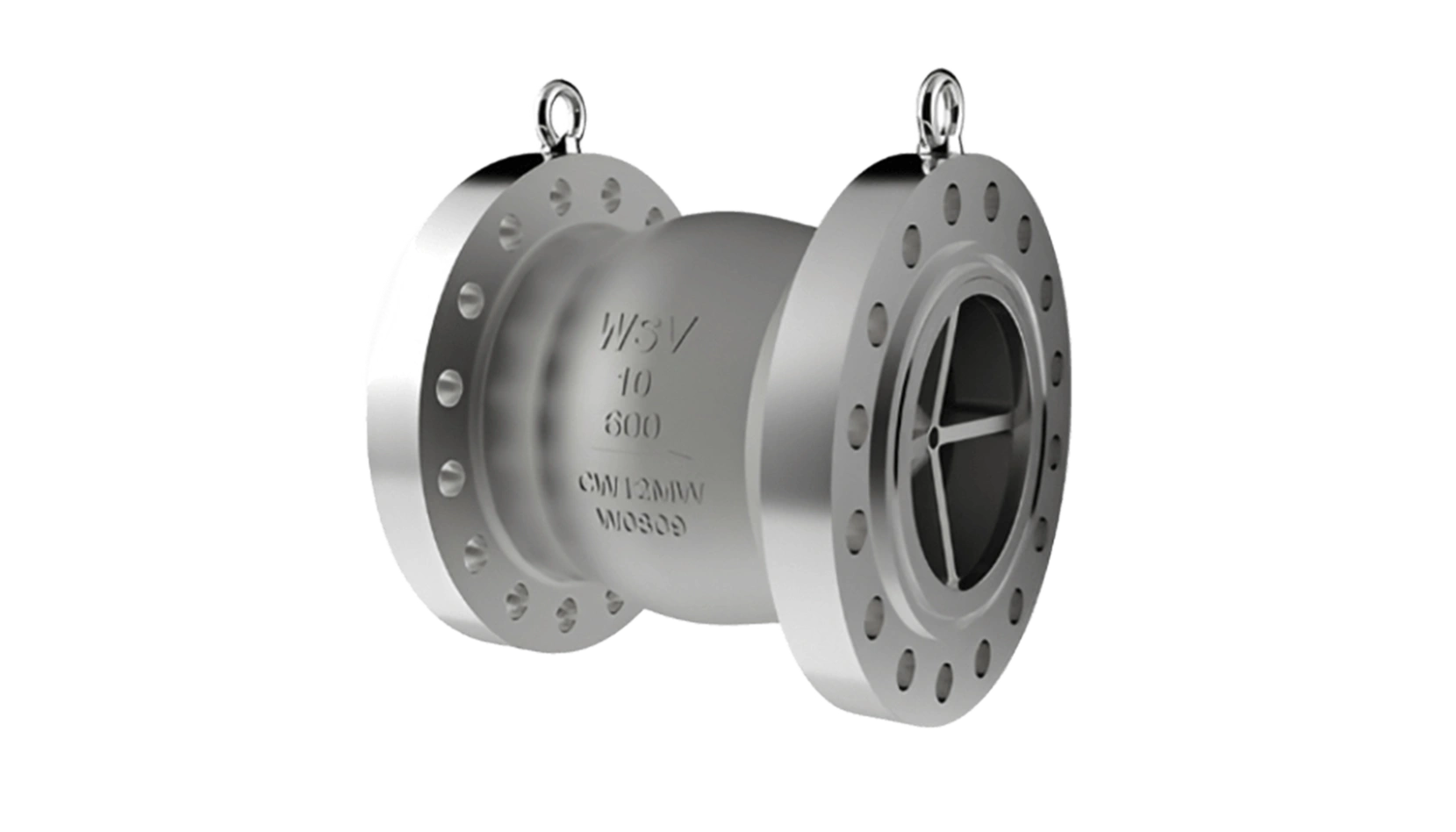 Hastelloy Check Valves