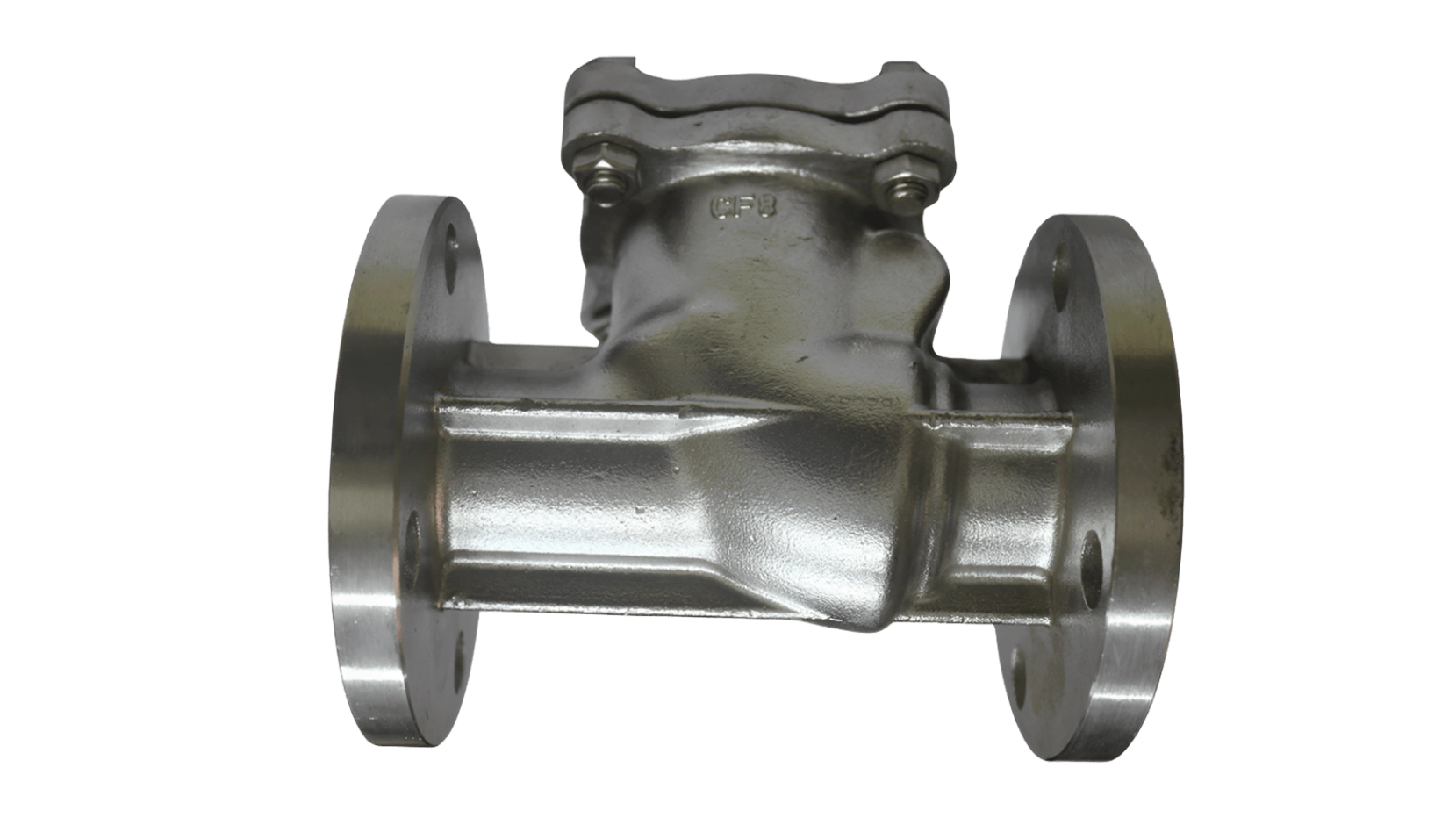 SS Check Valves